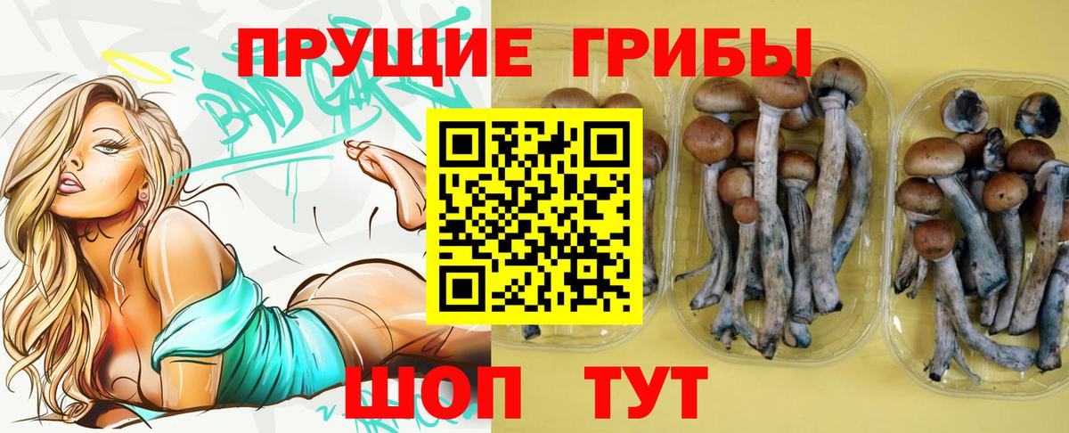 Псилоцибиновые грибы прущие грибы  Вход с VPN  Псилоцибиновые грибы Psilocybine cubensis  Мариинск 